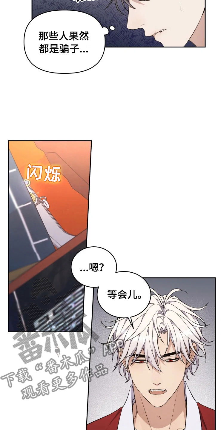 《梦中游龙》第13章妈妈的遗物 第13页