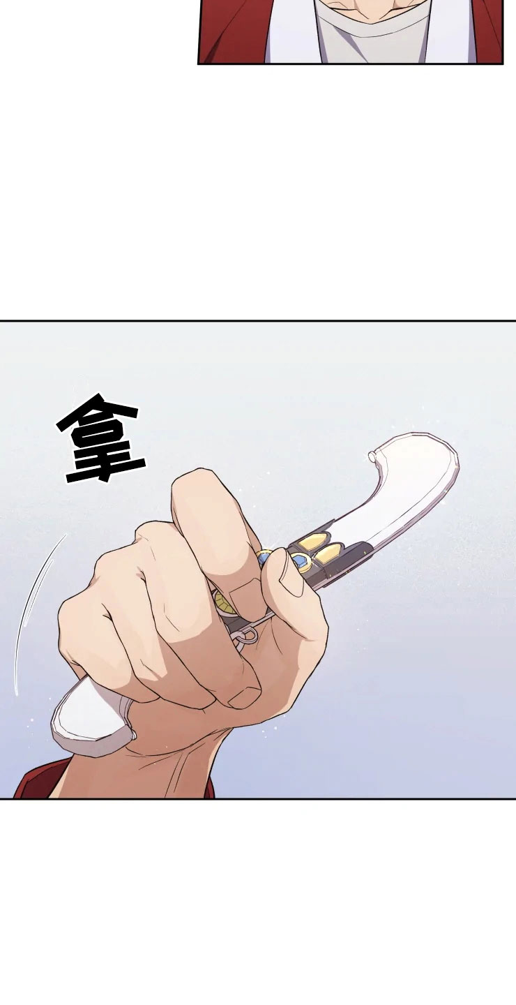 《梦中游龙》第13章妈妈的遗物 第14页