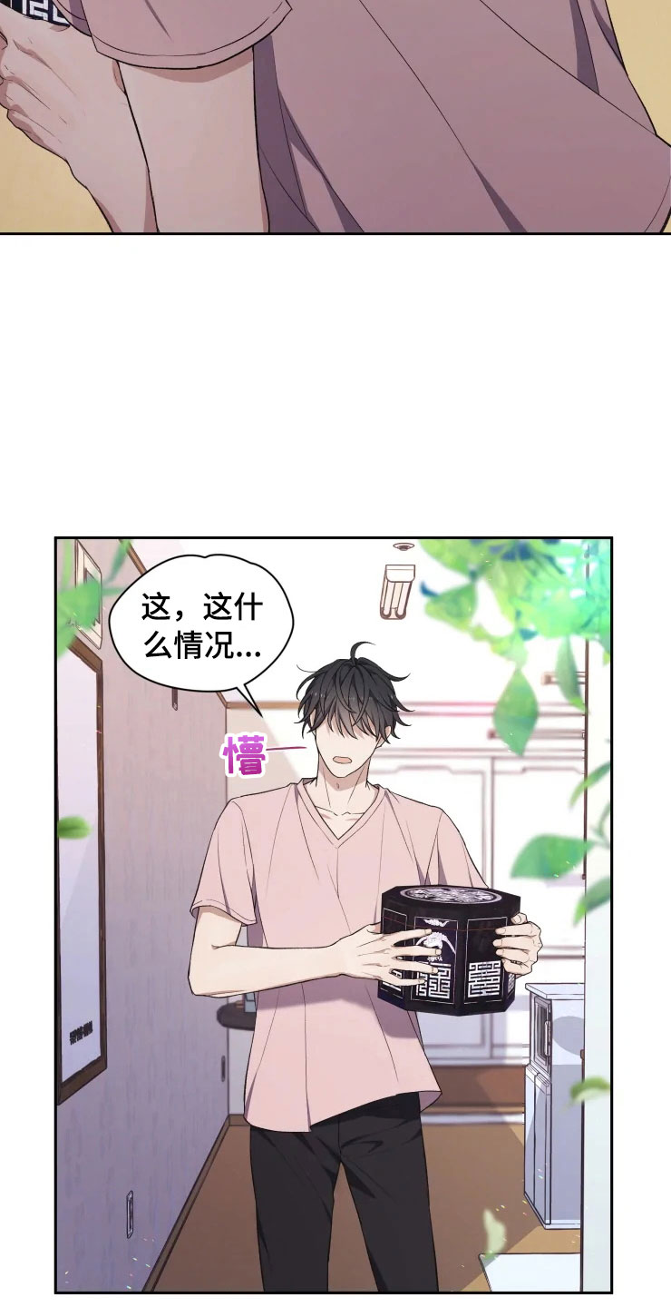 《梦中游龙》第13章妈妈的遗物 第23页