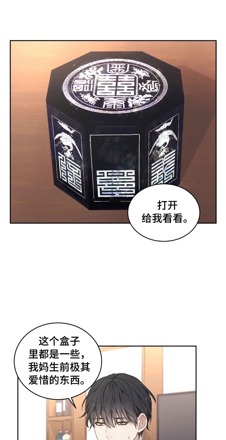 《梦中游龙》第13章妈妈的遗物 第8页