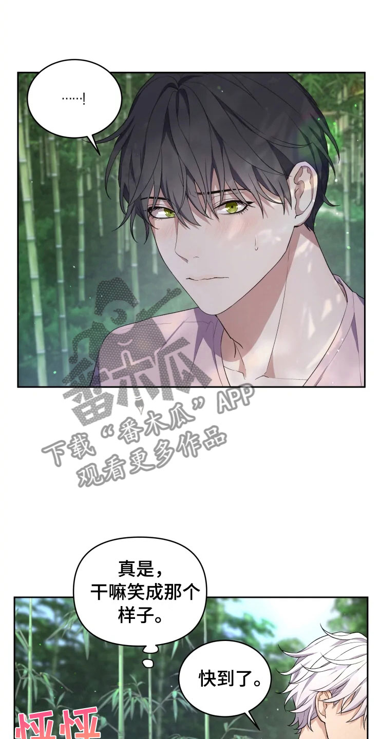 《梦中游龙》第14章龙神商会 第15页