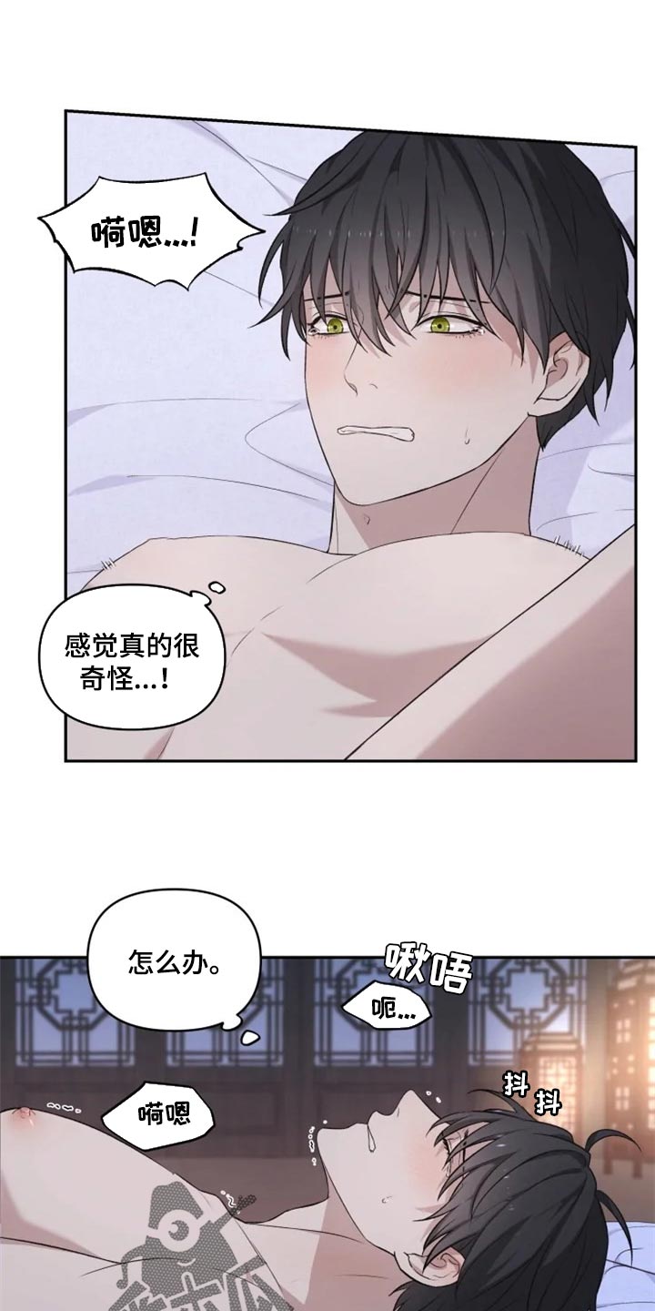 《梦中游龙》第21章比女人麻烦 第2页