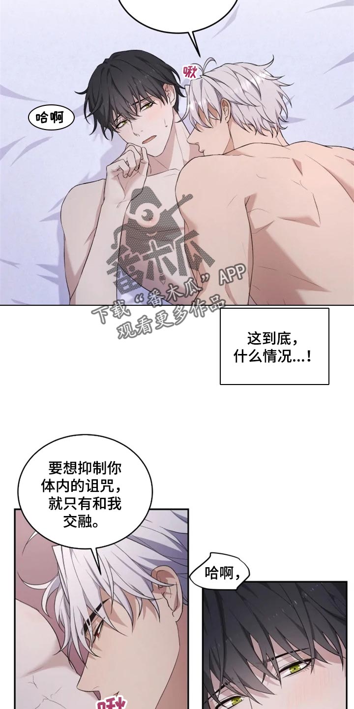 《梦中游龙》第19章抑制诅咒 第14页