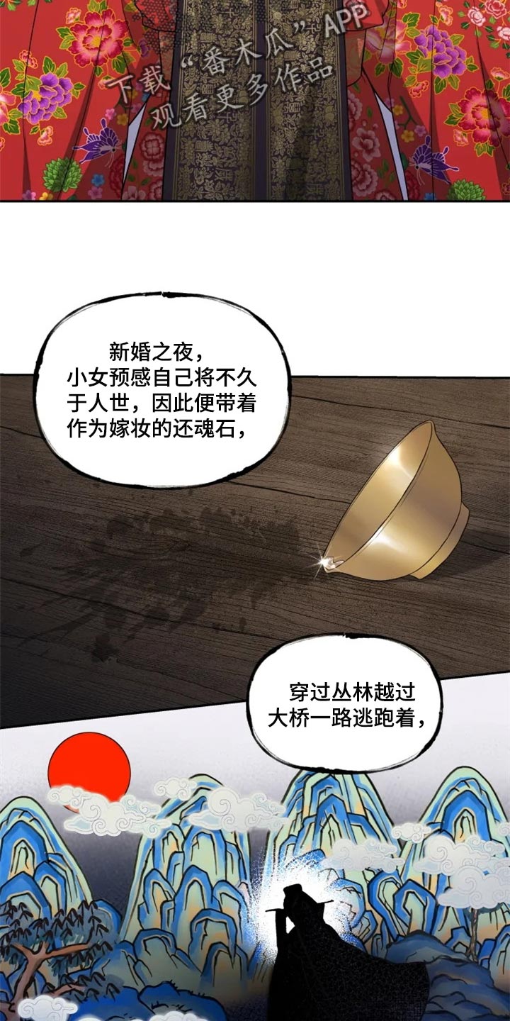 《梦中游龙》第25章还魂石的下落 第19页