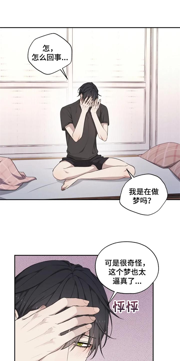 《梦中游龙》第31章箱子 第2页