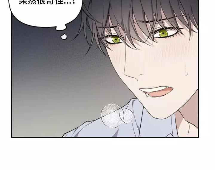 《梦中游龙》第38章天差地别 第13页