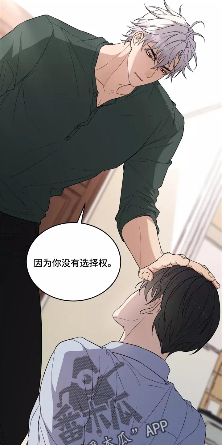 《梦中游龙》第38章天差地别 第9页