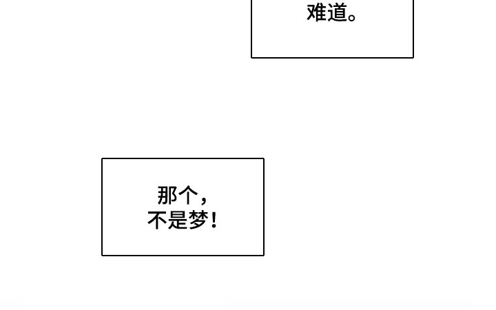 《梦中游龙》第39章不是梦 第13页