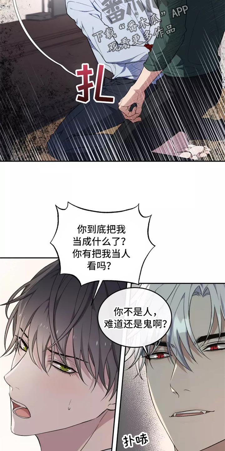 《梦中游龙》第39章不是梦 第2页