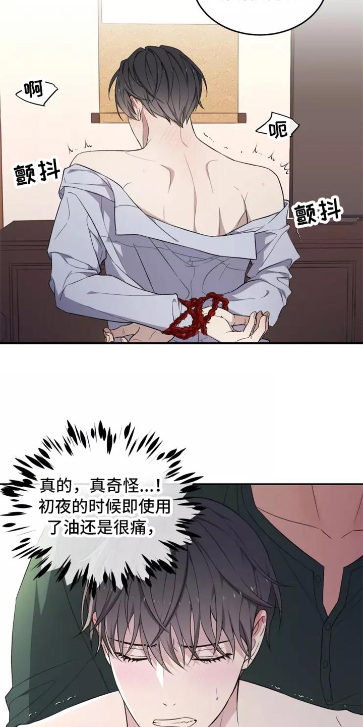 《梦中游龙》第39章不是梦 第5页