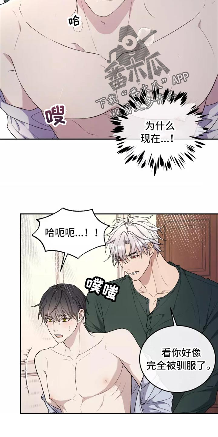 《梦中游龙》第39章不是梦 第6页