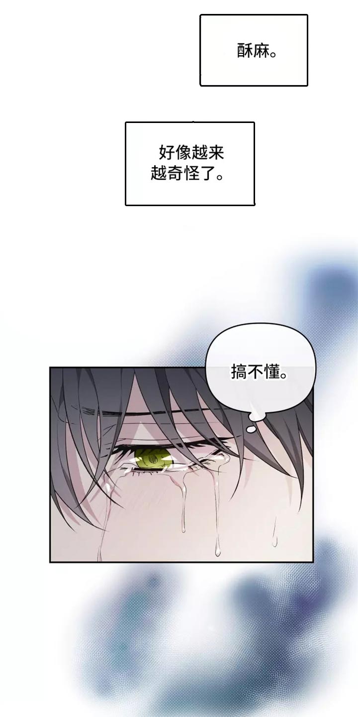 《梦中游龙》第40章搞不懂 第13页