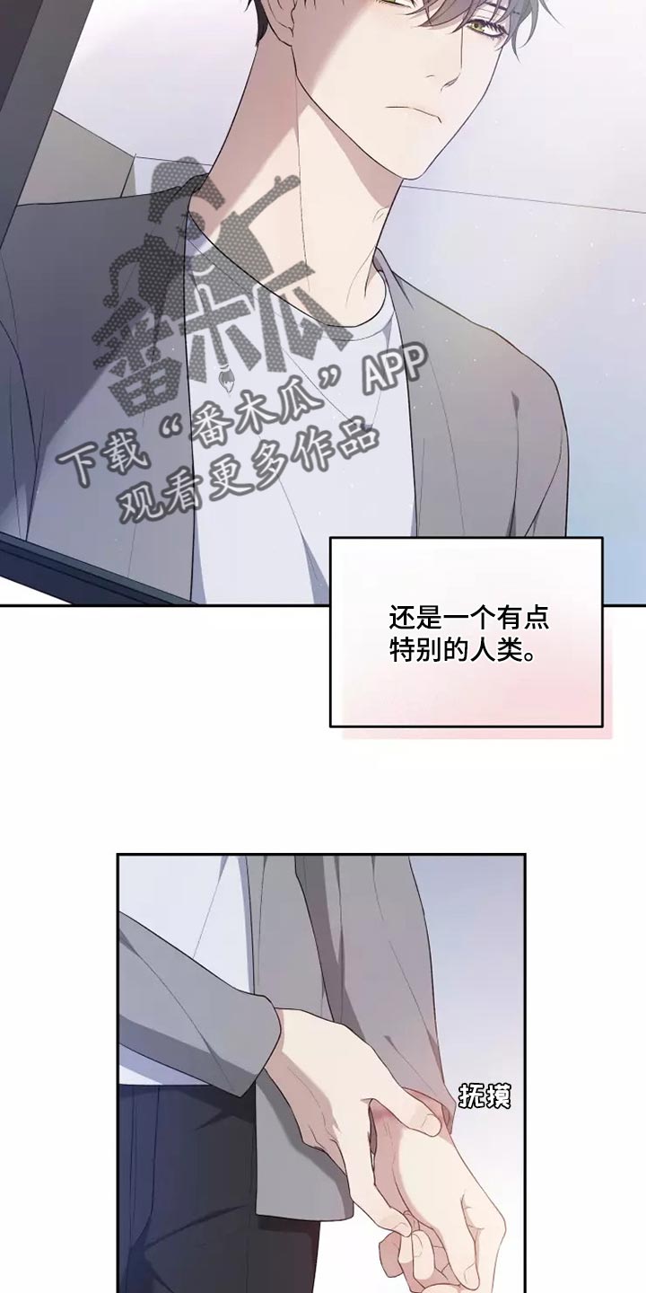 《梦中游龙》第43章走神 第2页