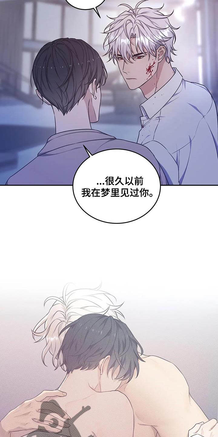 《梦中游龙》第59章预知梦 第3页