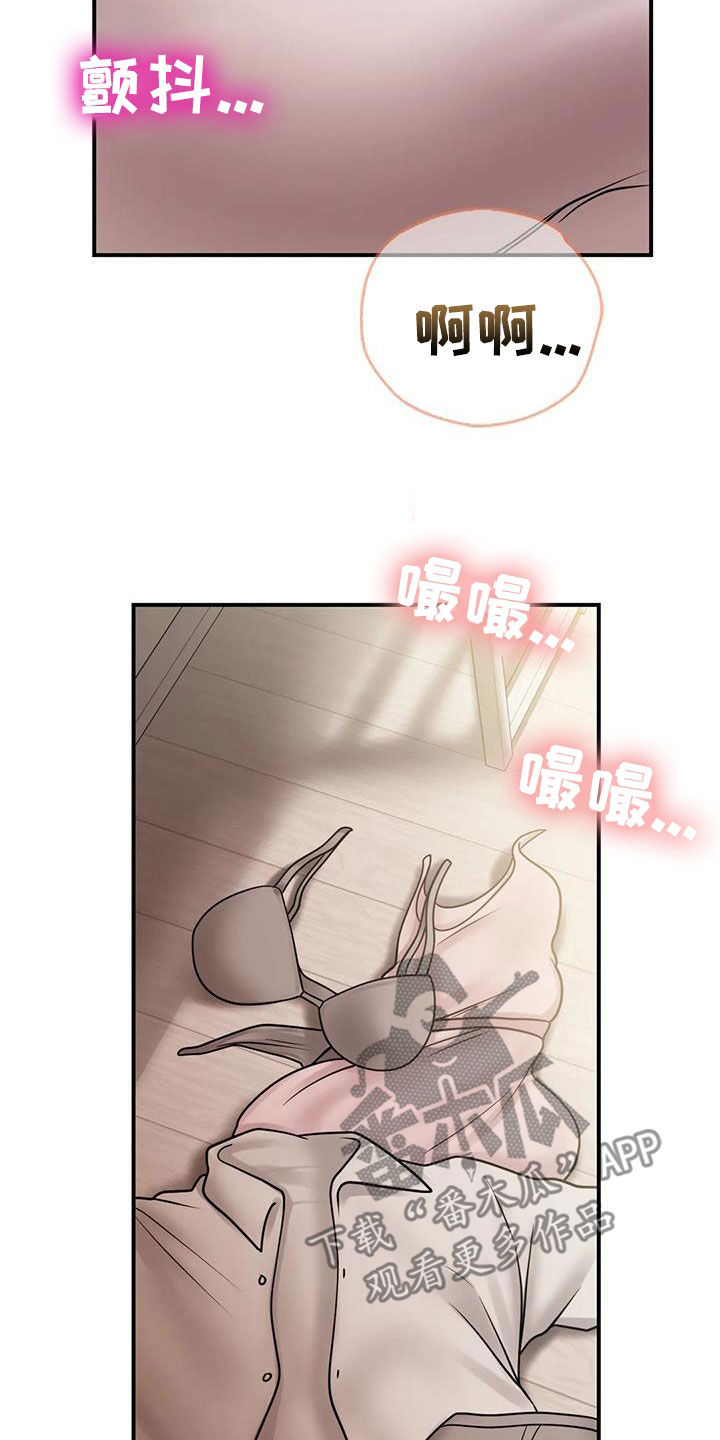 《夏天的民宿》第28章太迟 第17页