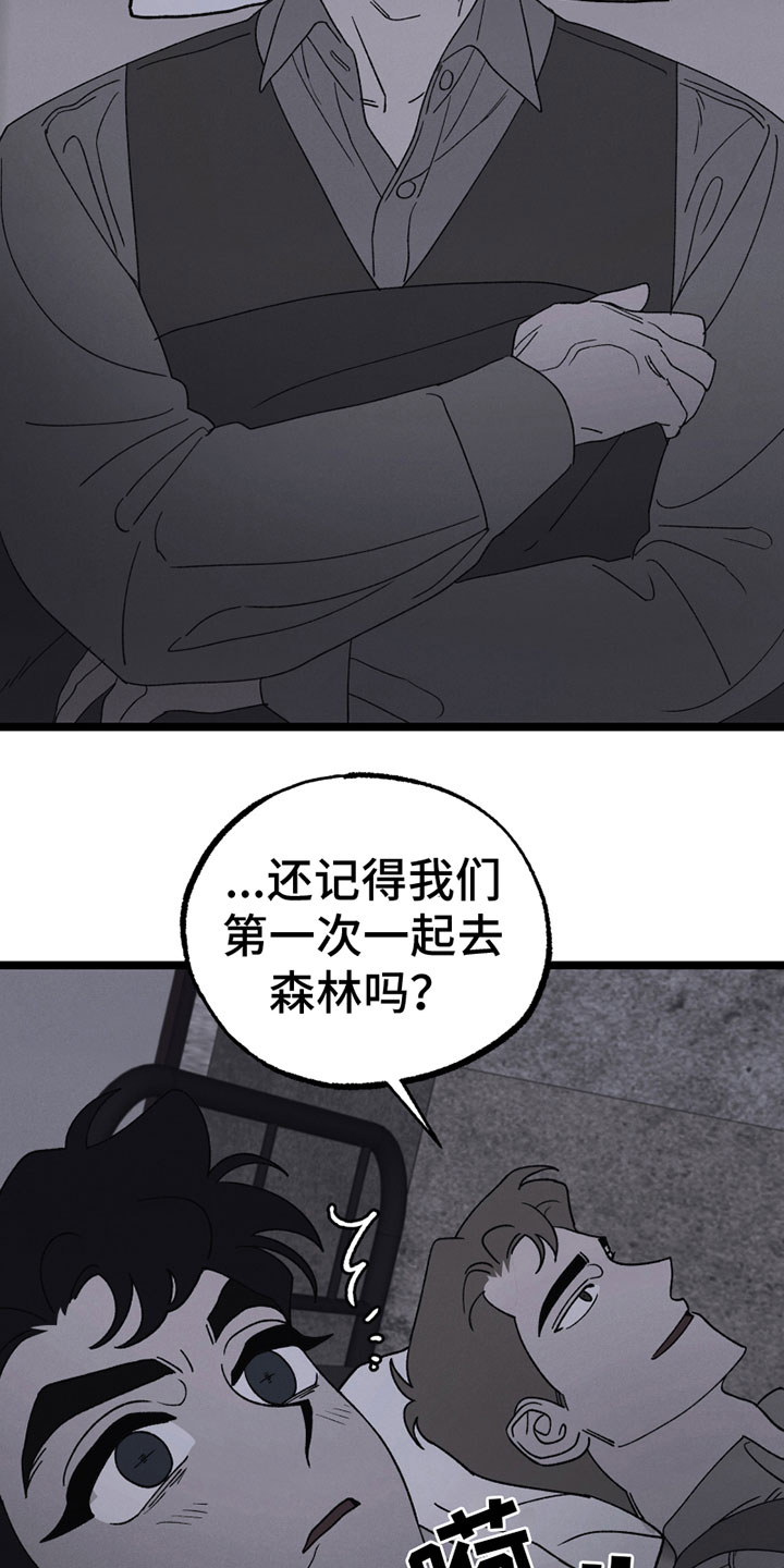 《最后的战役》第17章胡思乱想 第6页