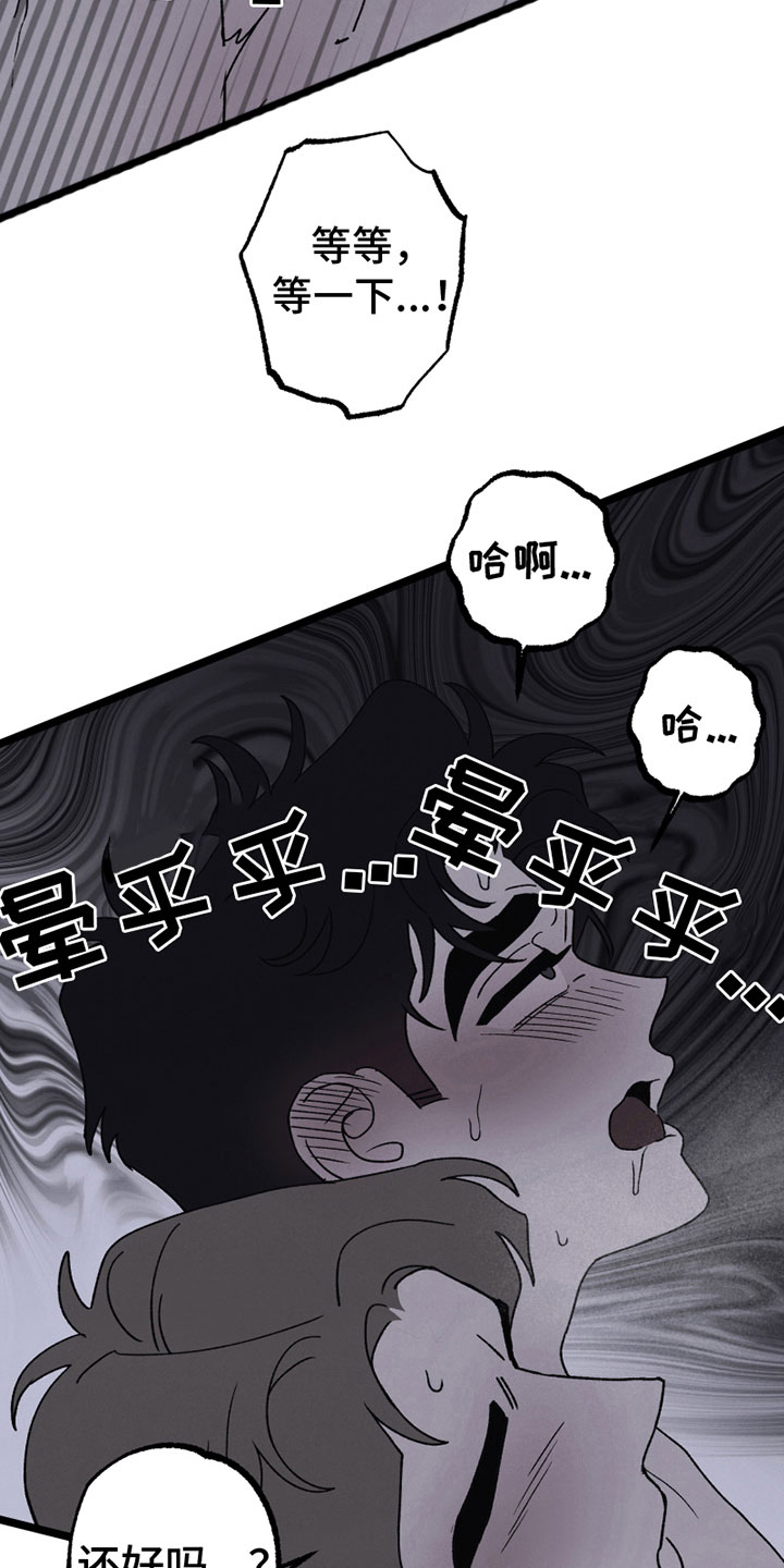 《最后的战役》第19章默许 第14页