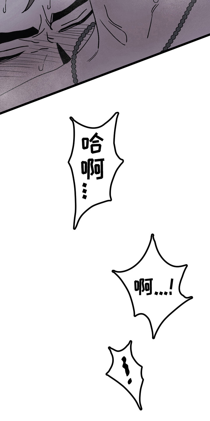《最后的战役》第19章默许 第19页
