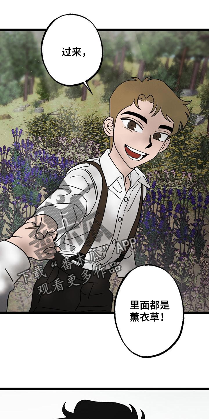 《最后的战役》第25章我也没关系 第15页