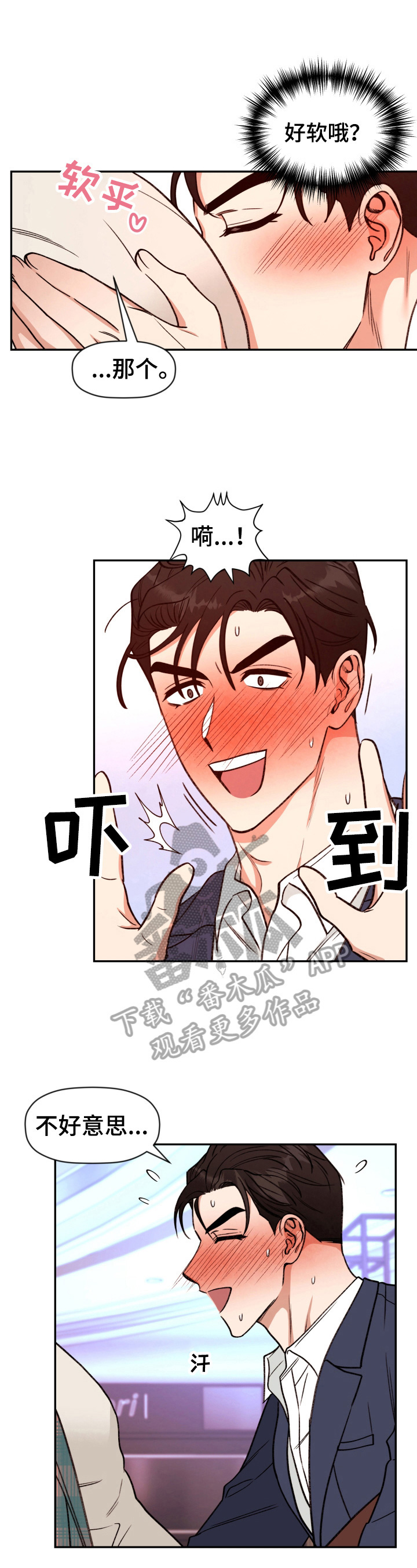 《美梦成真》第21章命运的安排 第3页