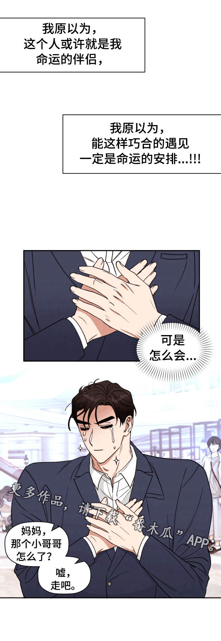 《美梦成真》第21章命运的安排 第9页