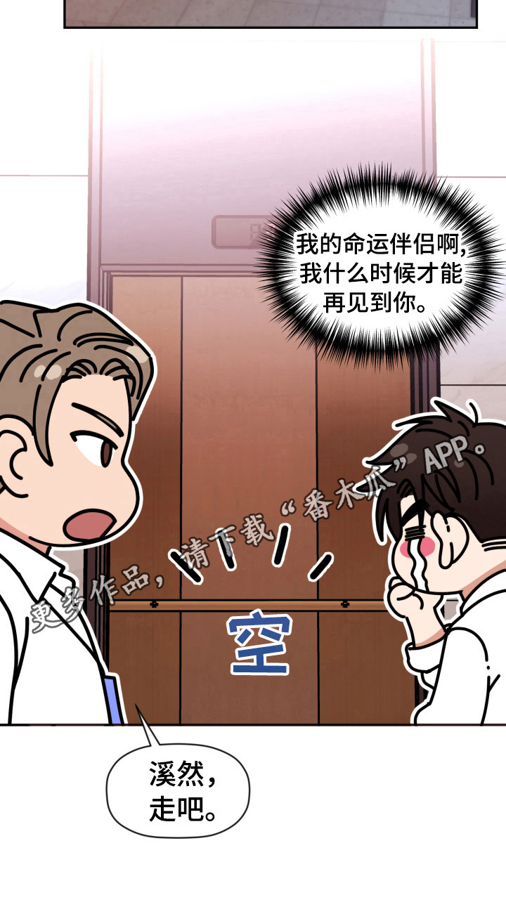 《美梦成真》第25章遗憾 第12页