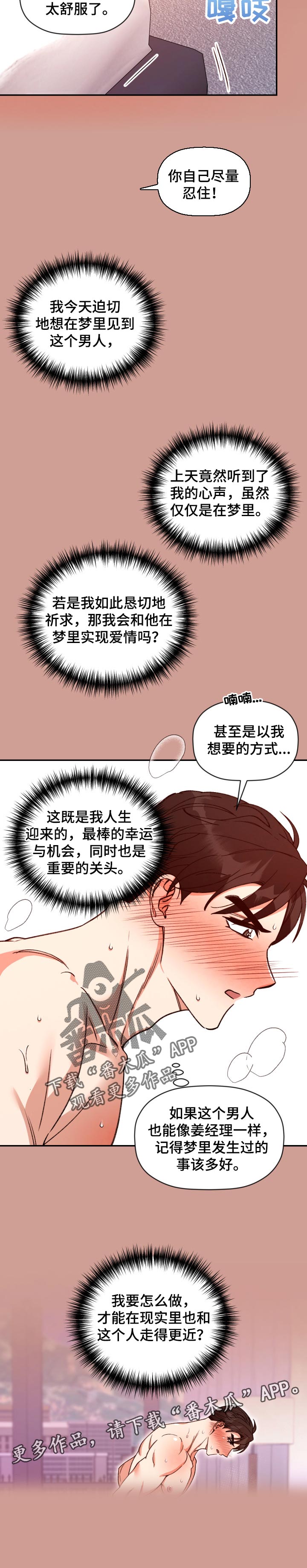 《美梦成真》第41章如期的梦境 第7页