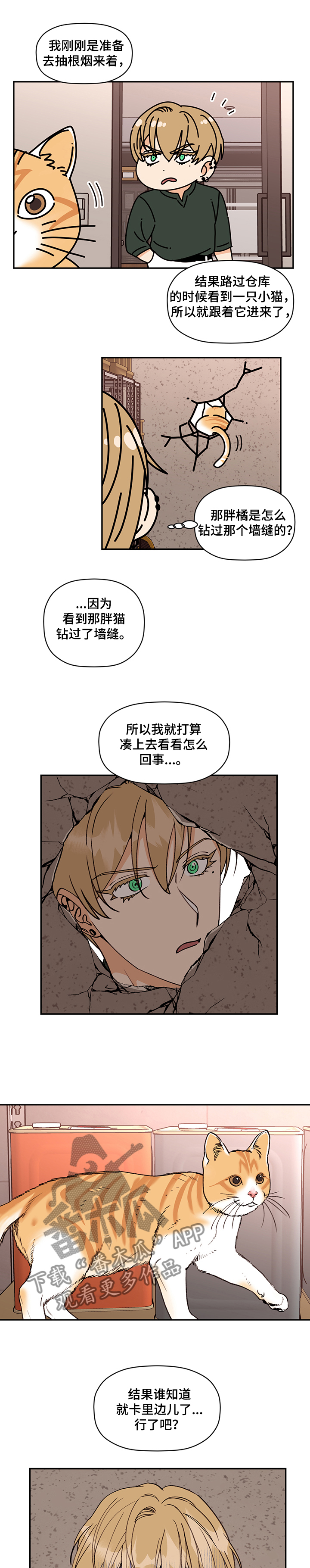 《美梦成真》第46章“墙”人 第6页