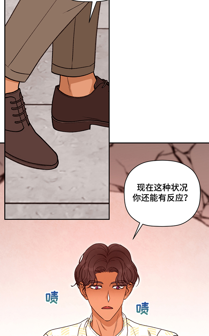 《美梦成真》第54章姜经理在嫉妒？ 第14页
