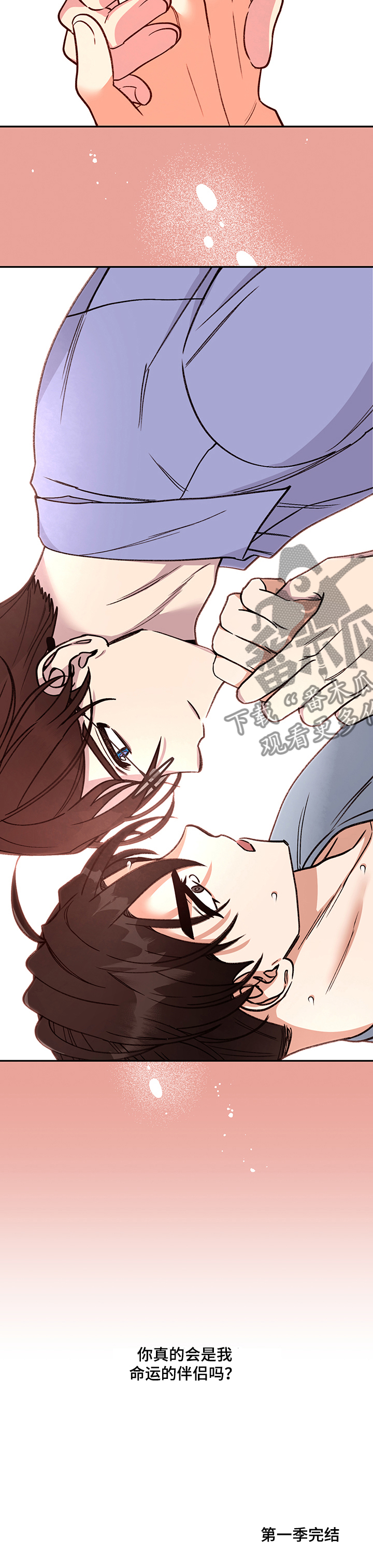 《美梦成真》第59章【完结】奇怪的梦 第15页