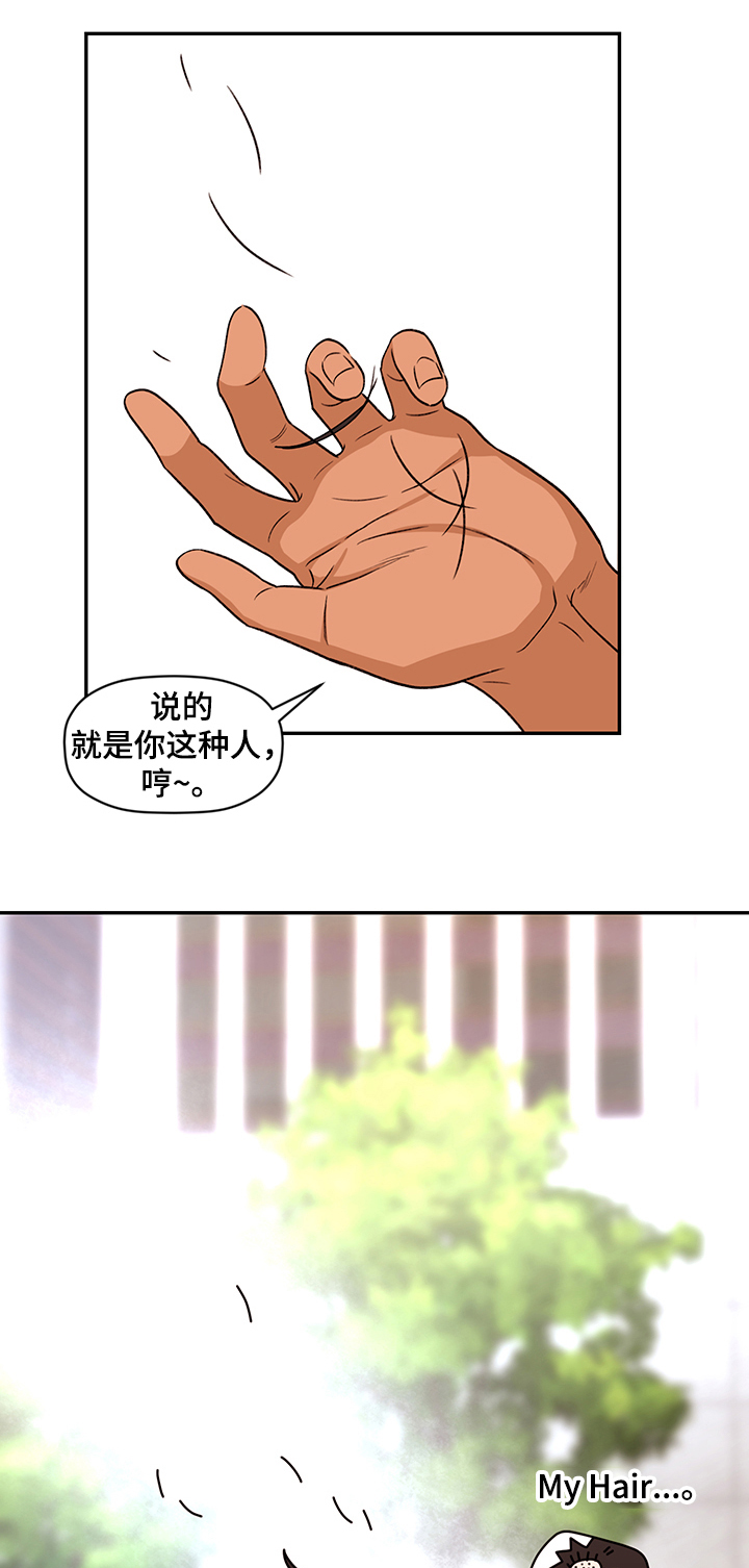 《美梦成真》第59章【完结】奇怪的梦 第3页