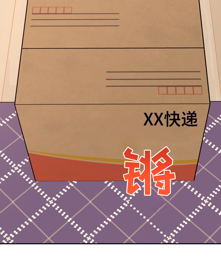 《美梦成真》第60章【第二季】神秘的箱子 第17页