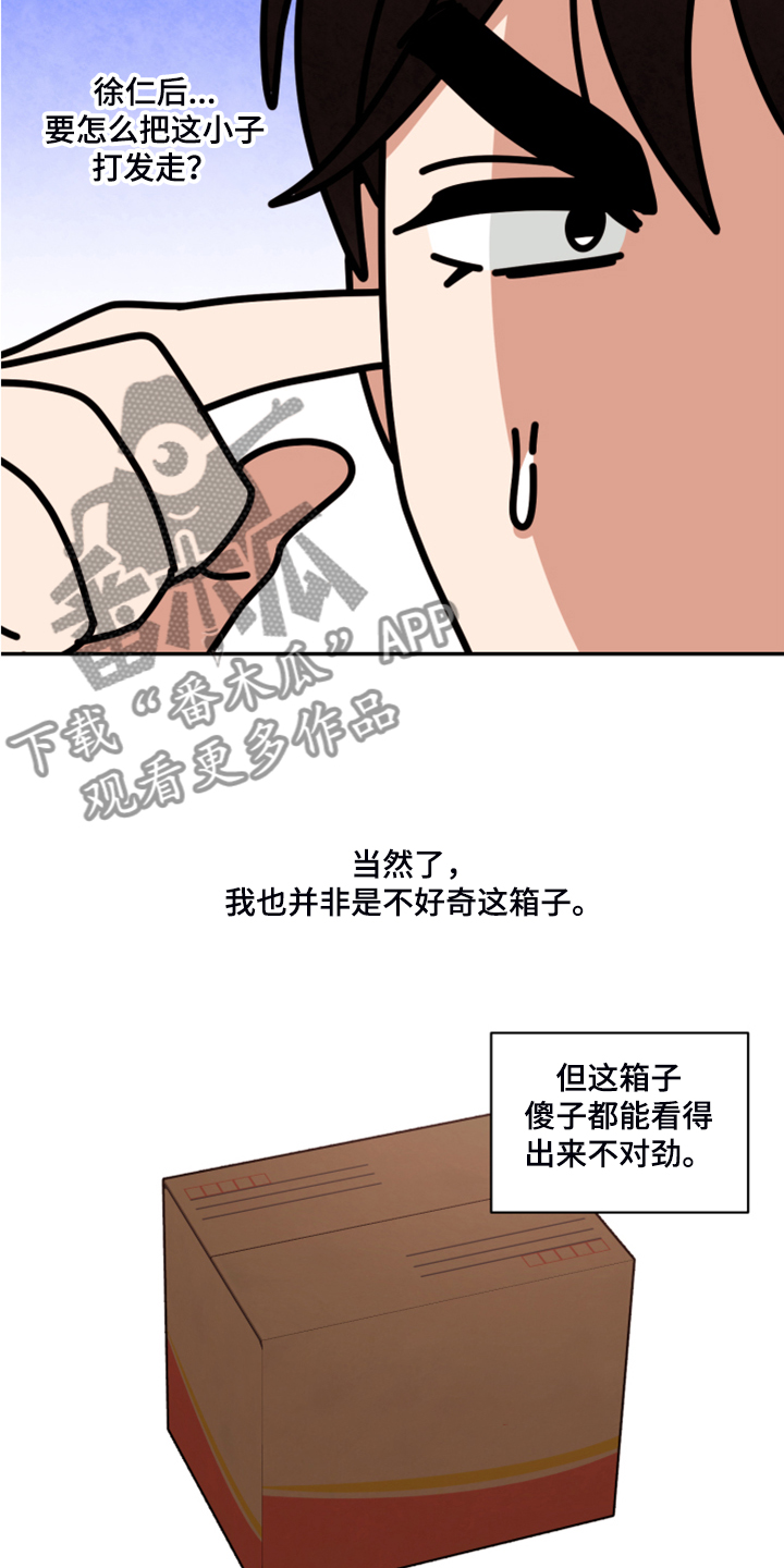 《美梦成真》第60章【第二季】神秘的箱子 第30页