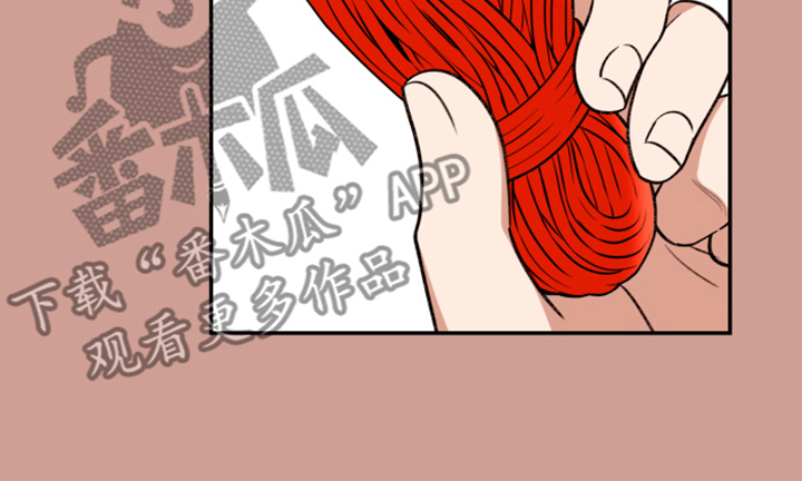 《美梦成真》第64章【第二季】果然图谋不轨 第13页