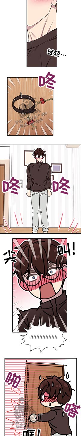 《美梦成真》第66章【第二季】你的房间 第4页