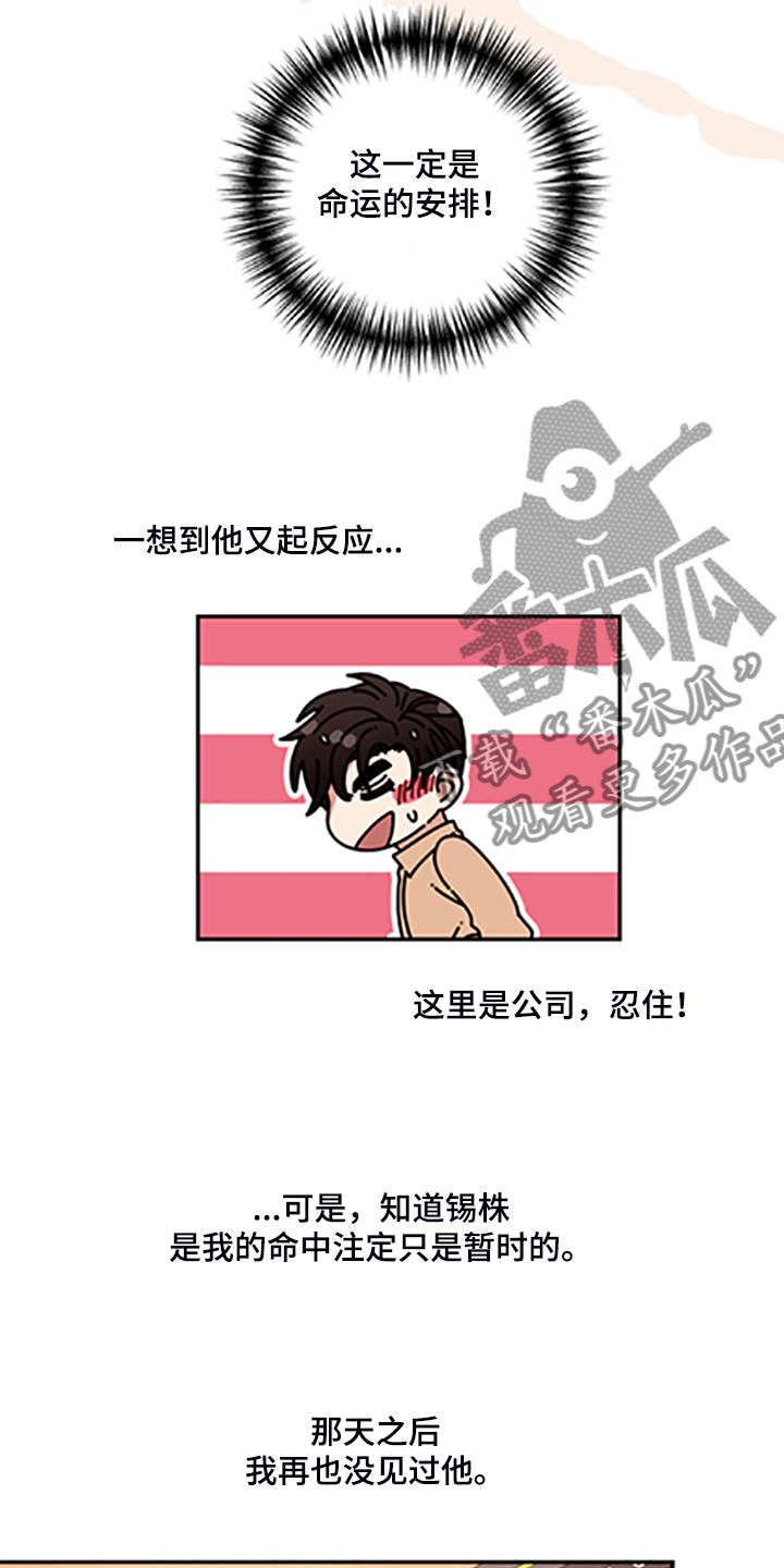 《美梦成真》第68章【第二季】满足的电话 第13页