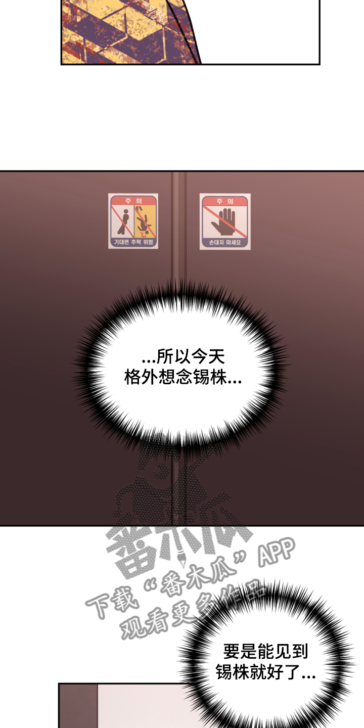 《美梦成真》第72章【第二季】电梯故障 第5页