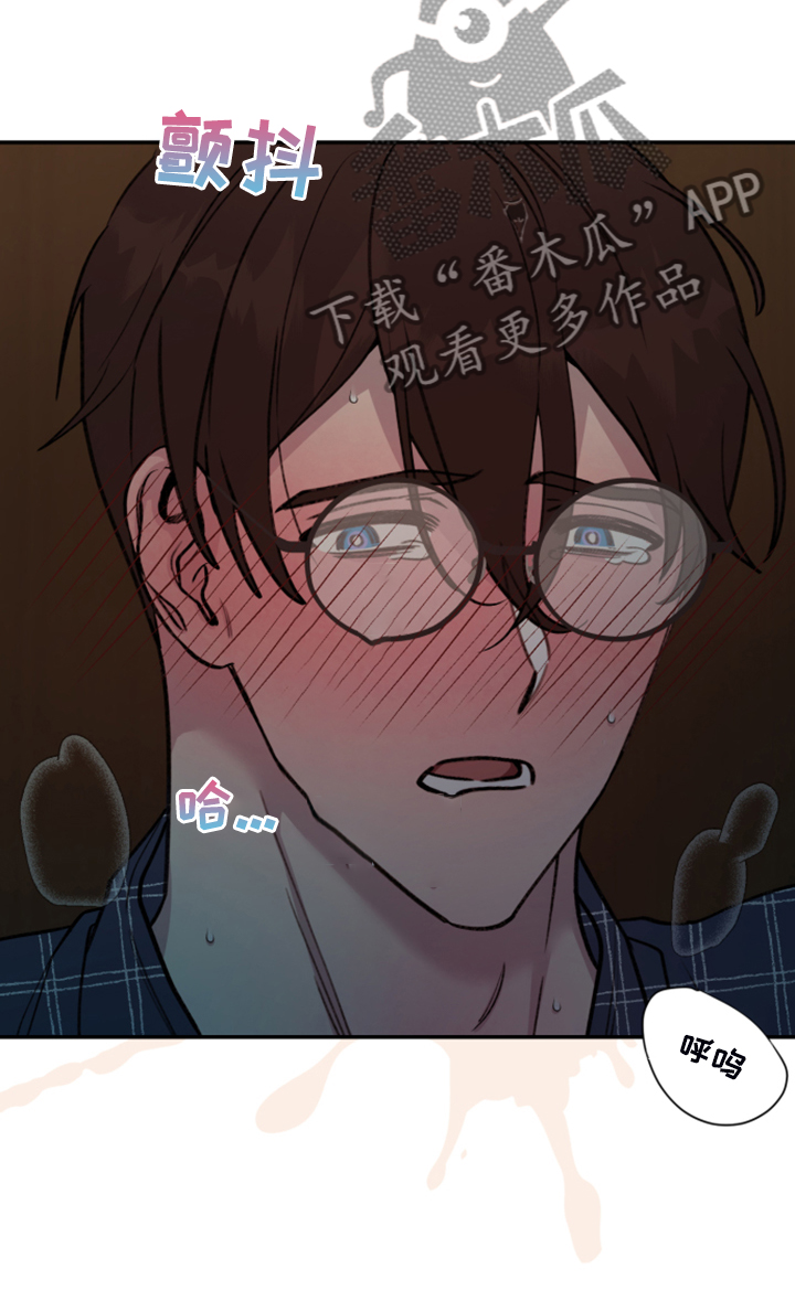 《美梦成真》第73章【第二季】遗憾的营救 第14页