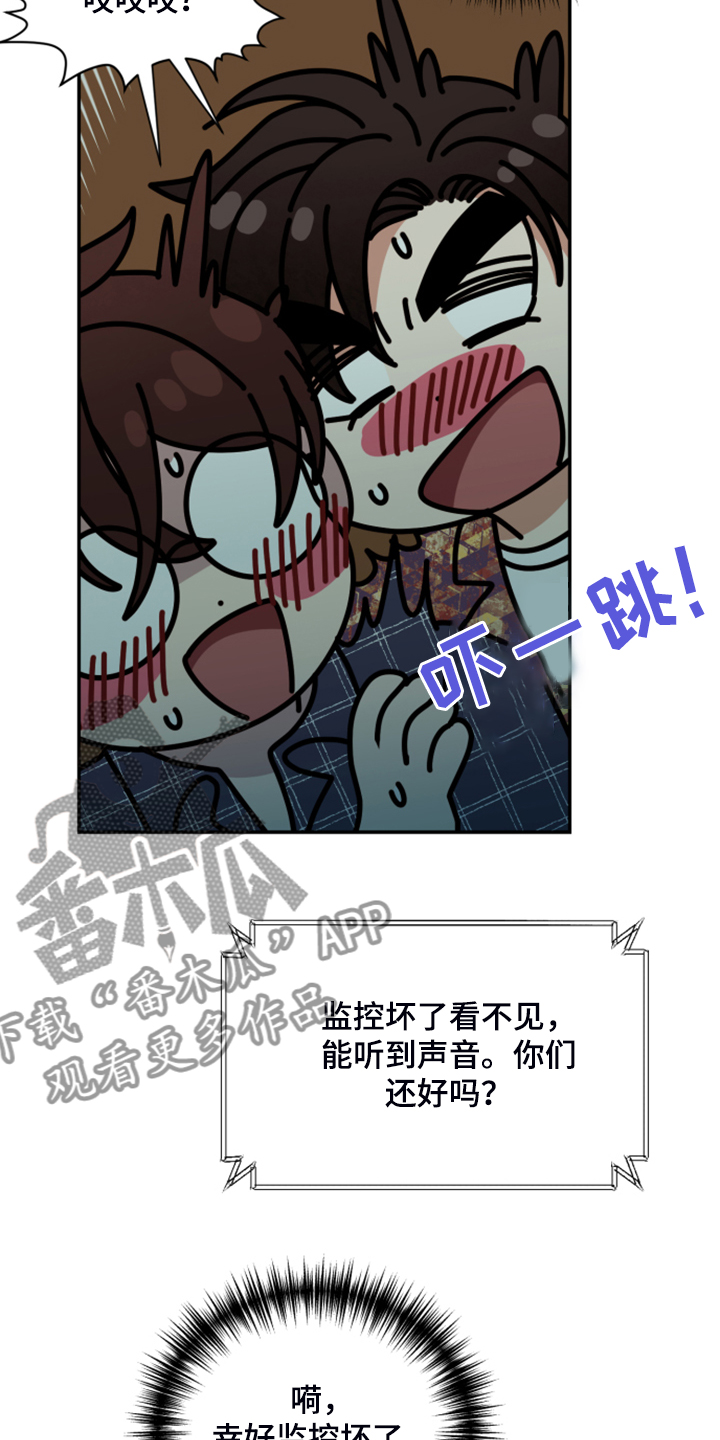 《美梦成真》第73章【第二季】遗憾的营救 第17页