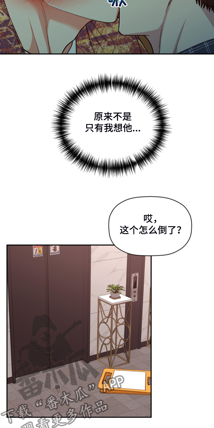 《美梦成真》第73章【第二季】遗憾的营救 第5页