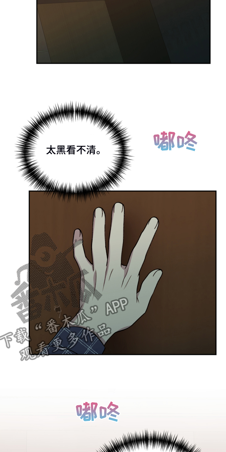 《美梦成真》第73章【第二季】遗憾的营救 第7页