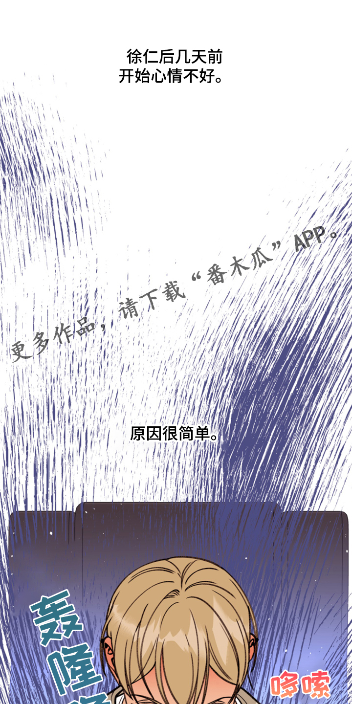 《美梦成真》第74章【第二季】各种猜想 第1页