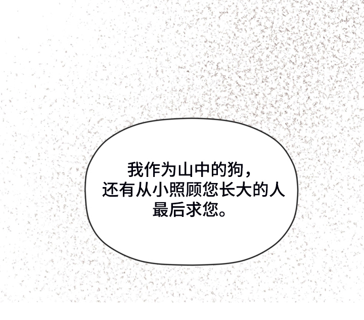 《美梦成真》第74章【第二季】各种猜想 第40页