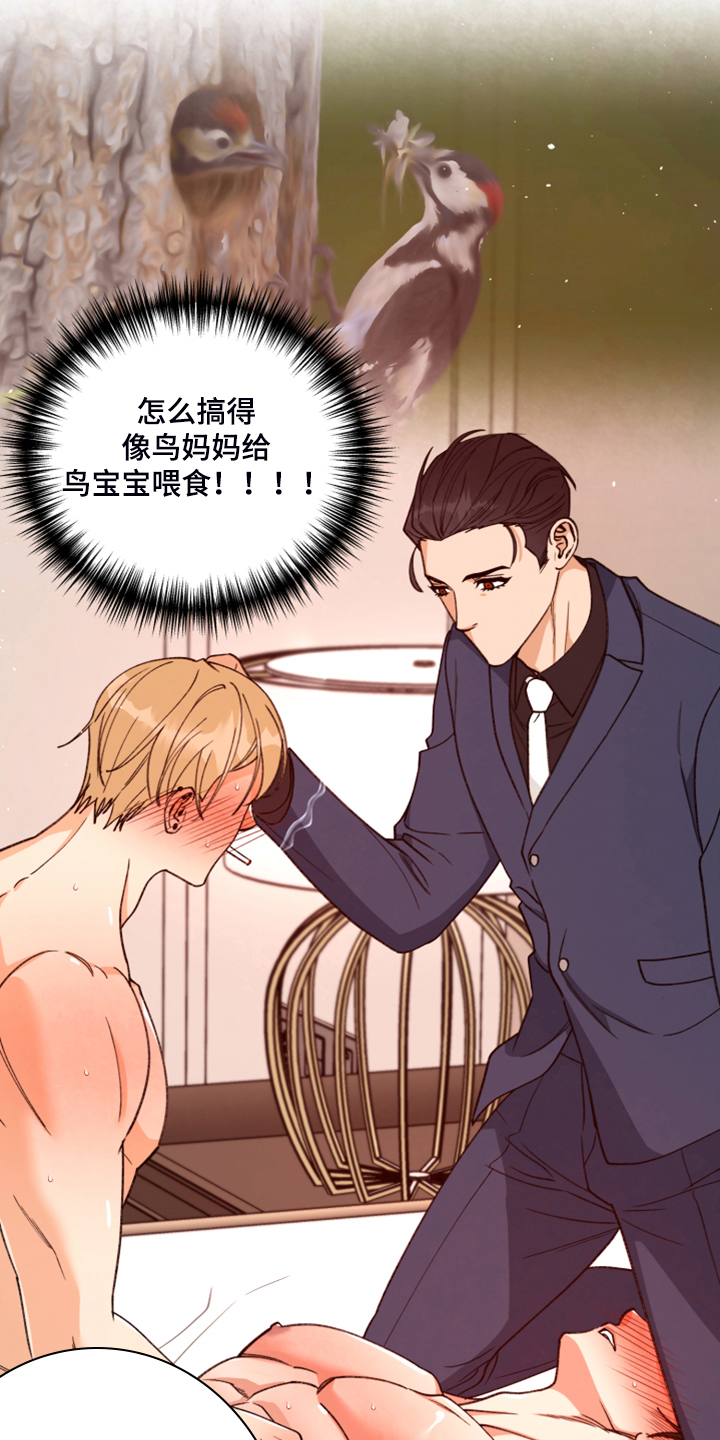 《美梦成真》第76章【第二季】得逞 第11页