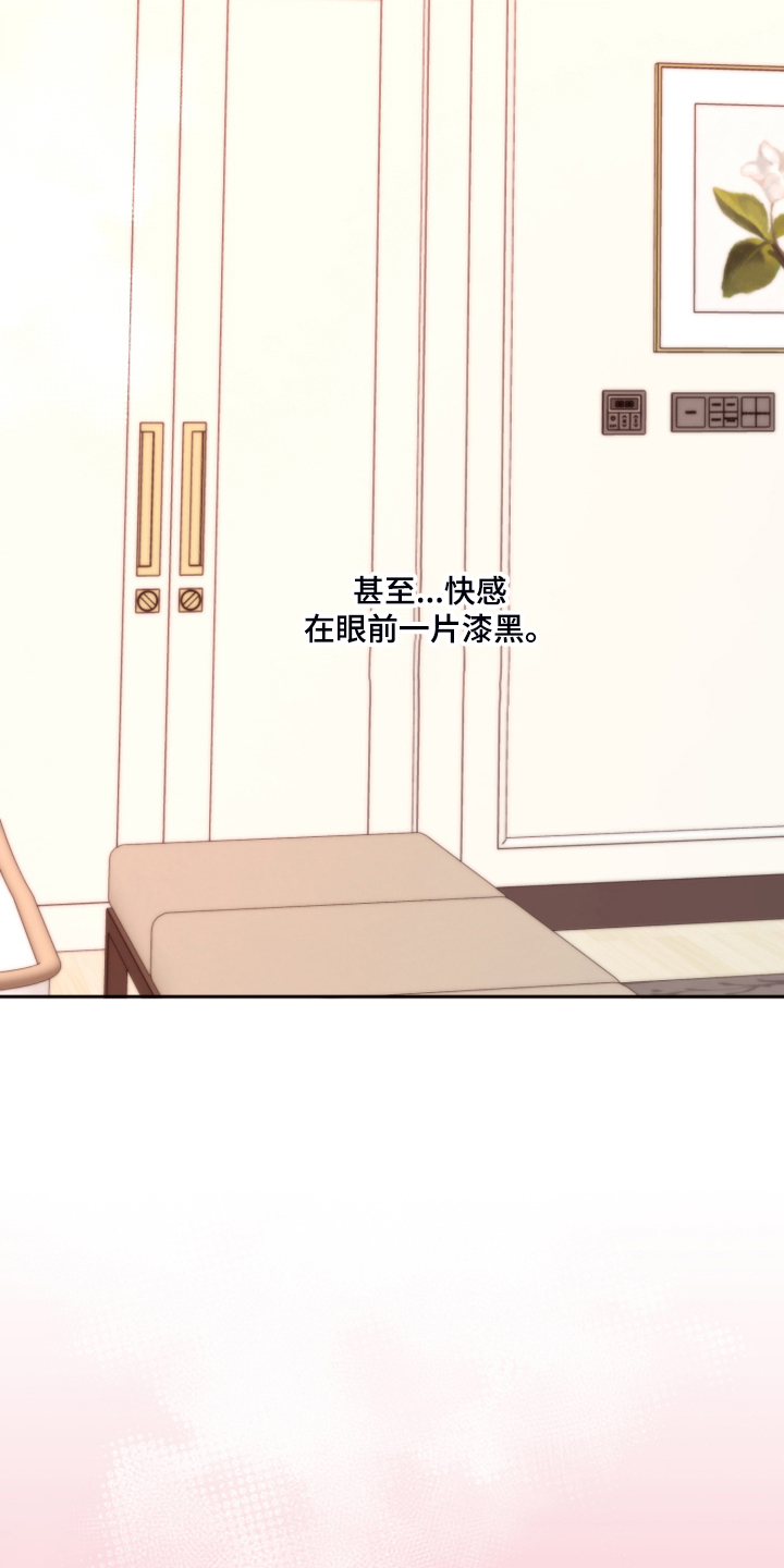 《美梦成真》第76章【第二季】得逞 第5页