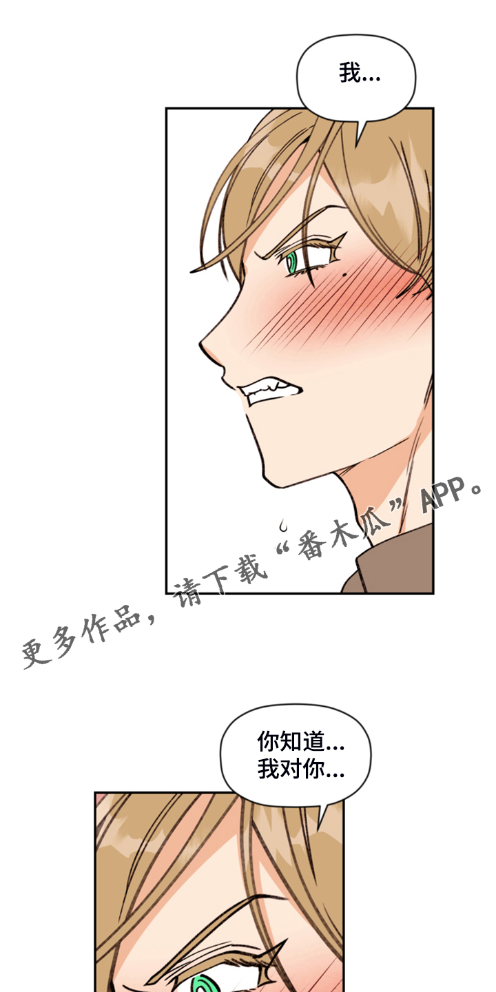 《美梦成真》第79章【第二季】艰难守护 第1页