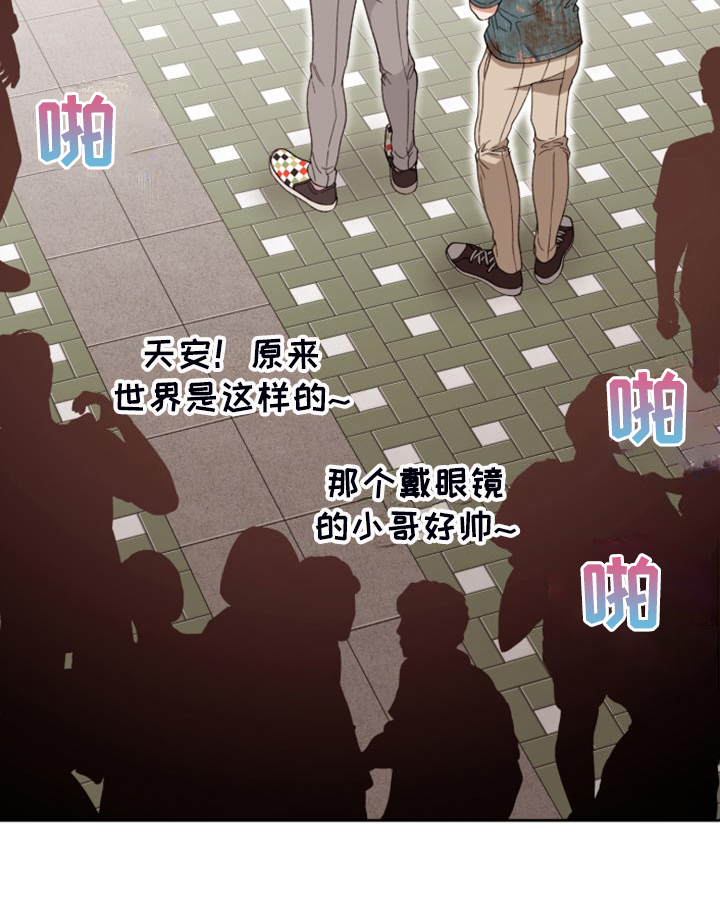 《美梦成真》第82章【第二季】不允许 第19页