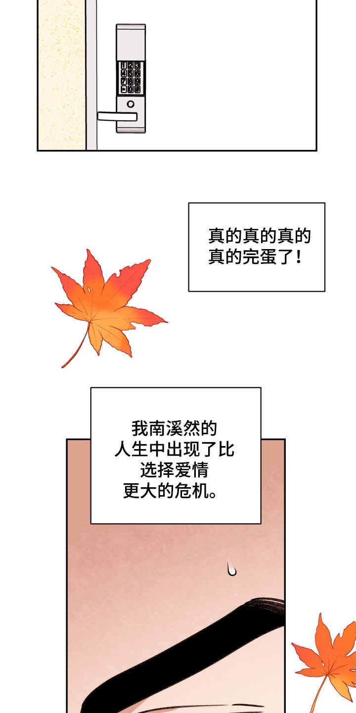 《美梦成真》第85章【番外】危机 第14页