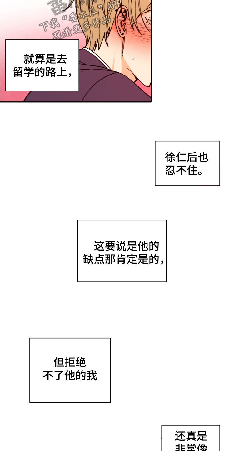 《美梦成真》第88章【番外】留学 第15页