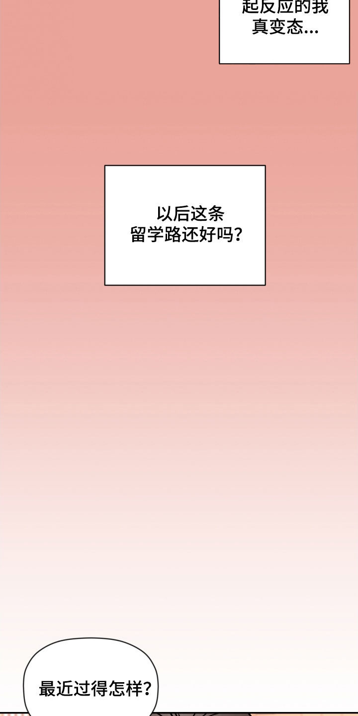 《美梦成真》第88章【番外】留学 第17页